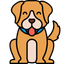 Cane